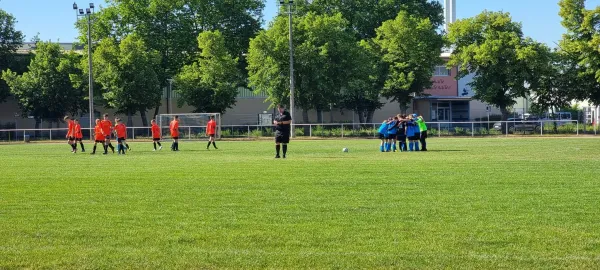 11.06.2022 VfB Gräfenhainichen vs. Spg. United4Lions