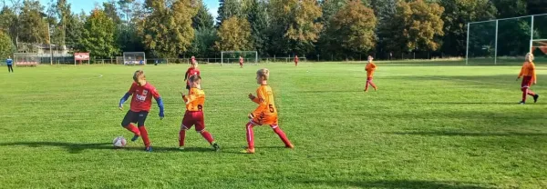 02.10.2021 SG Heiderand II vs. VfB Gräfenhainichen