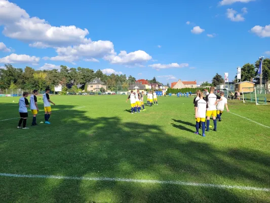 24.08.2022 Dessauer SV 97 vs. VfB Gräfenhainichen