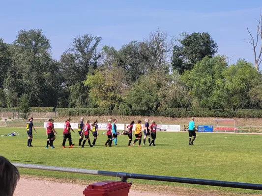 04.09.2022 FC Stahl Aken e.V. vs. VfB Gräfenhainichen