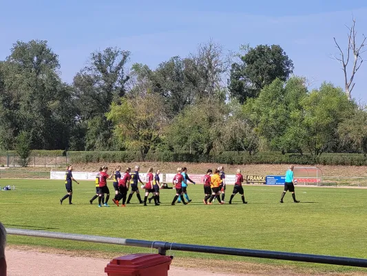 04.09.2022 FC Stahl Aken e.V. vs. VfB Gräfenhainichen