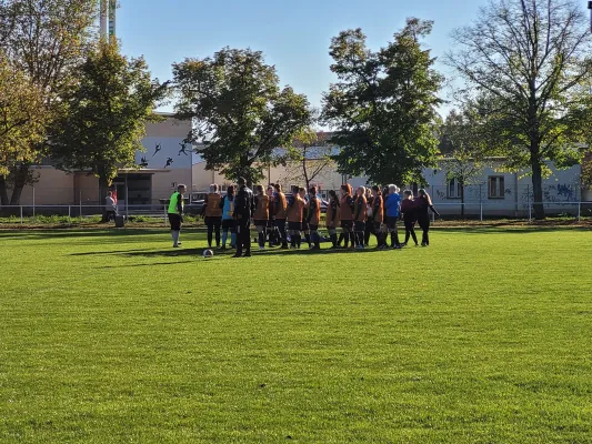 06.11.2022 VfB Gräfenhainichen vs. SV Rot-Weiß Kemberg