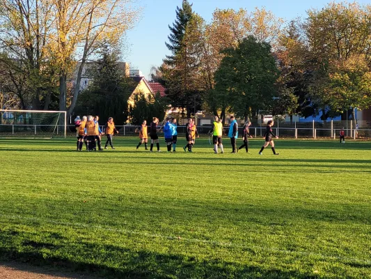 06.11.2022 VfB Gräfenhainichen vs. SV Rot-Weiß Kemberg