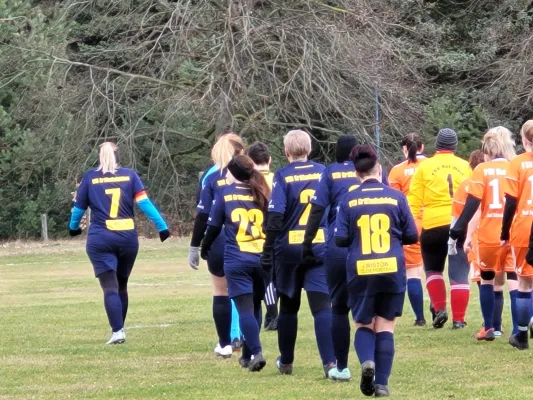 26.02.2023 FSV Bad Schmiedeberg vs. VfB Gräfenhainichen