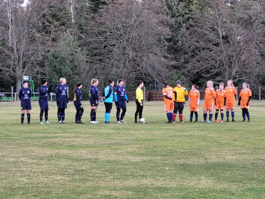 26.02.2023 FSV Bad Schmiedeberg vs. VfB Gräfenhainichen