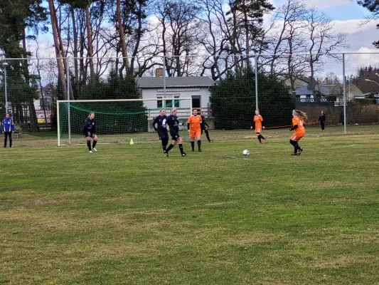 26.02.2023 FSV Bad Schmiedeberg vs. VfB Gräfenhainichen