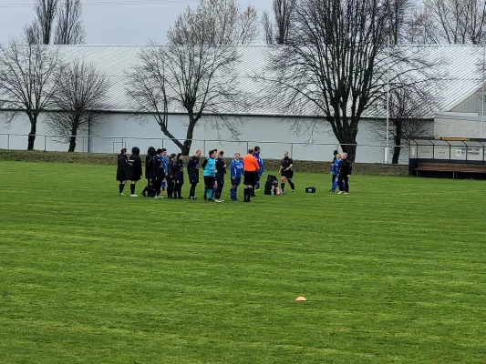 16.04.2023 VfB Gräfenhainichen vs. SV Turbine