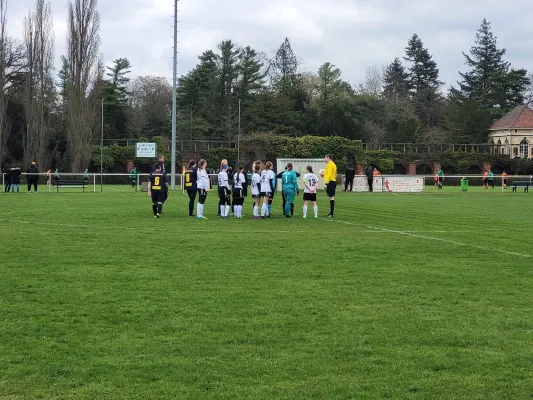 02.04.2023 SV Grün-Weiß-Wörlitz vs. VfB Gräfenhainichen