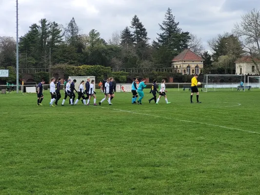 02.04.2023 SV Grün-Weiß-Wörlitz vs. VfB Gräfenhainichen