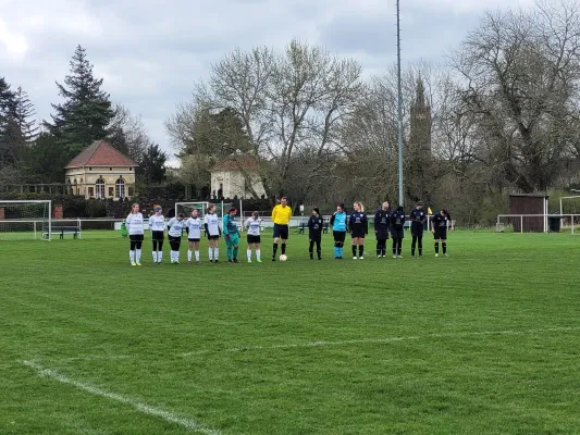 02.04.2023 SV Grün-Weiß-Wörlitz vs. VfB Gräfenhainichen