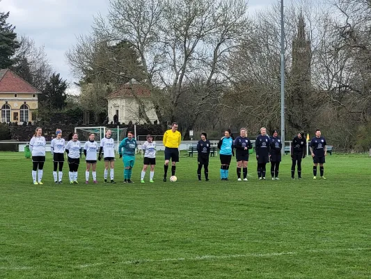 02.04.2023 SV Grün-Weiß-Wörlitz vs. VfB Gräfenhainichen