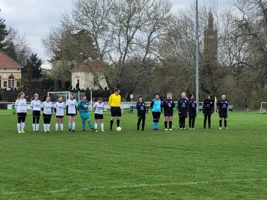 02.04.2023 SV Grün-Weiß-Wörlitz vs. VfB Gräfenhainichen