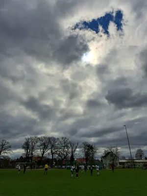 02.04.2023 SV Grün-Weiß-Wörlitz vs. VfB Gräfenhainichen