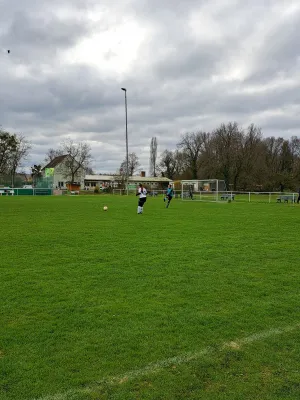 02.04.2023 SV Grün-Weiß-Wörlitz vs. VfB Gräfenhainichen