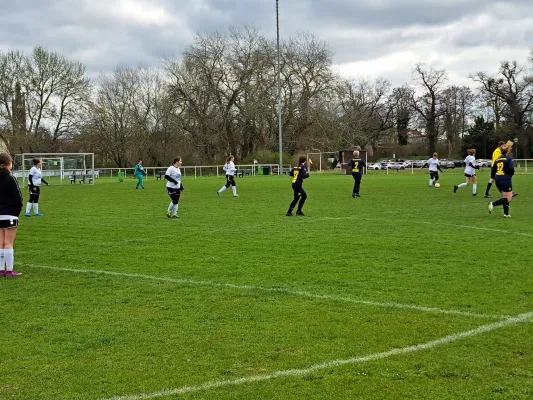 02.04.2023 SV Grün-Weiß-Wörlitz vs. VfB Gräfenhainichen