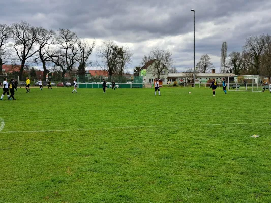 02.04.2023 SV Grün-Weiß-Wörlitz vs. VfB Gräfenhainichen