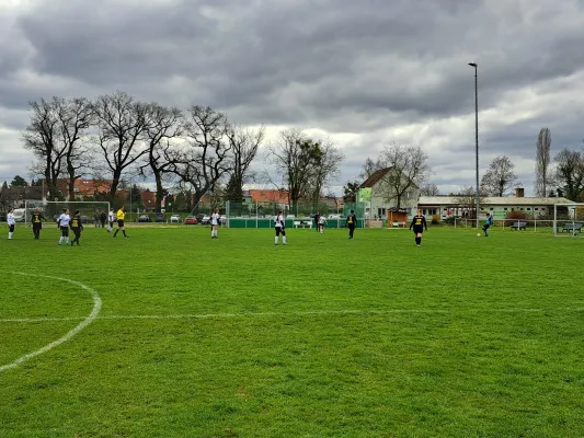 02.04.2023 SV Grün-Weiß-Wörlitz vs. VfB Gräfenhainichen