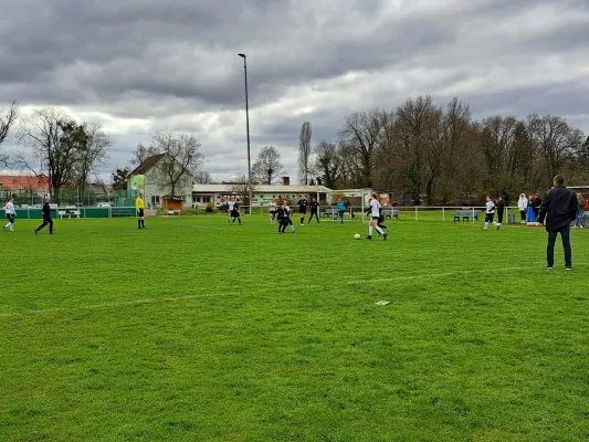 02.04.2023 SV Grün-Weiß-Wörlitz vs. VfB Gräfenhainichen