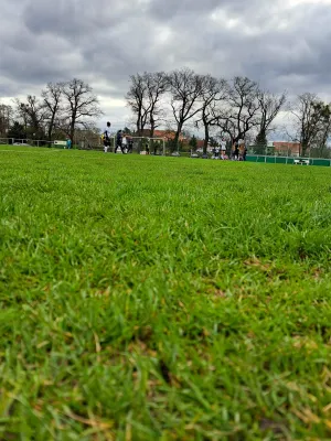 02.04.2023 SV Grün-Weiß-Wörlitz vs. VfB Gräfenhainichen