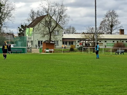 02.04.2023 SV Grün-Weiß-Wörlitz vs. VfB Gräfenhainichen