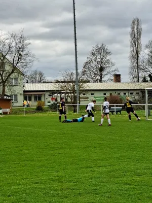 02.04.2023 SV Grün-Weiß-Wörlitz vs. VfB Gräfenhainichen