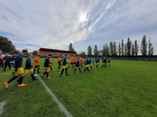 24.09.2022 VfB Gräfenhainichen vs. Spg. United4Lions