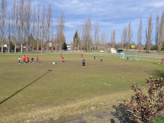 18.03.2023 VfB Gräfenhainichen vs. SG Rot Weiß Thalheim