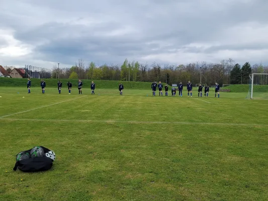 23.04.2023 Spg. United4Lions vs. VfB Gräfenhainichen