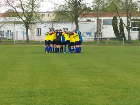 29.04.2023 VfB Gräfenhainichen vs. SG Empor Waldersee