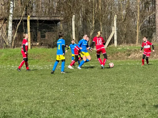 25.03.2023 FSV Bad Schmiedeberg vs. VfB Gräfenhainichen