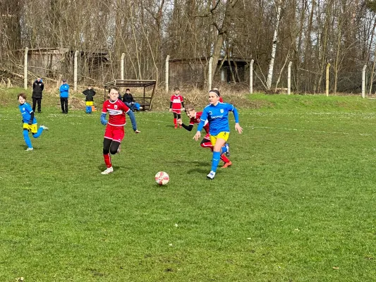 25.03.2023 FSV Bad Schmiedeberg vs. VfB Gräfenhainichen