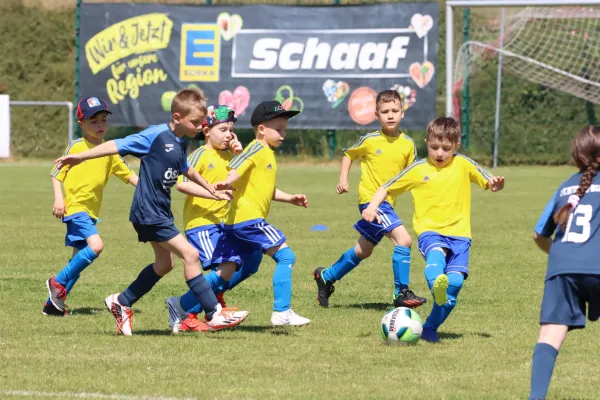 03.06.2023 SG Rot Weiß Thalheim vs. VfB Gräfenhainichen