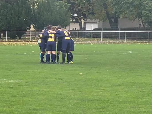 29.10.2023 SG Zsch/GHC vs. SV Grün-Weiß-Wörlitz