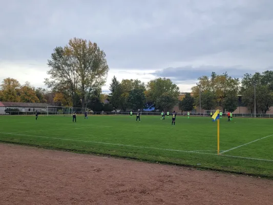 29.10.2023 SG Zsch/GHC vs. SV Grün-Weiß-Wörlitz