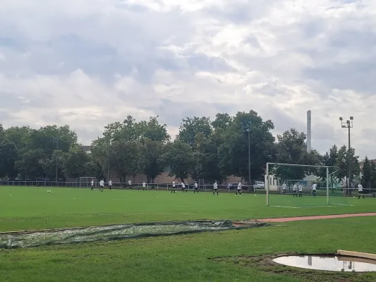 26.08.2023 VfB Gräfenhainichen vs. VfB Borussia Görzig