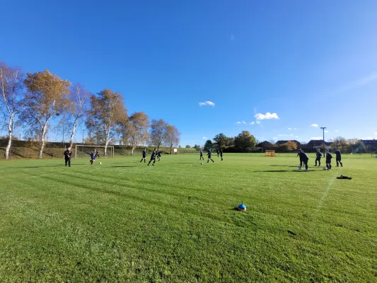 04.11.2023 SG Pratau-Seegrehna vs. VfB Gräfenhainichen