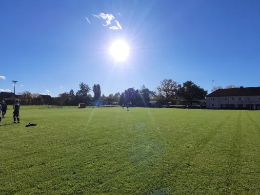 04.11.2023 SG Pratau-Seegrehna vs. VfB Gräfenhainichen