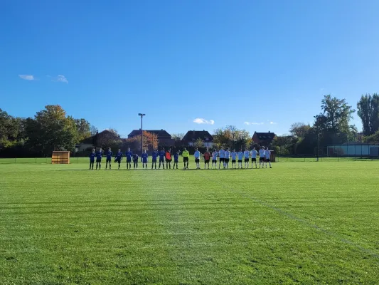 04.11.2023 SG Pratau-Seegrehna vs. VfB Gräfenhainichen