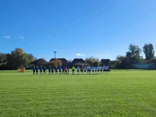 04.11.2023 SG Pratau-Seegrehna vs. VfB Gräfenhainichen