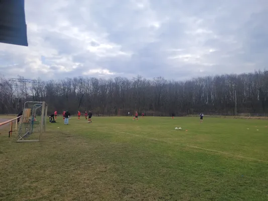 02.03.2024 VfB Gräfenhainichen vs. SV 09 Staßfurt e.V