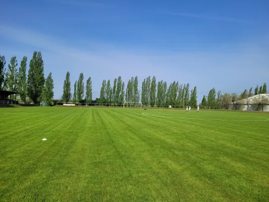 13.04.2024 VfB Gräfenhainichen vs. Bitterfeld-Wolfen