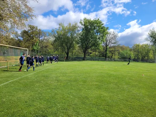 20.04.2024 Piesteritz vs. VfB Gräfenhainichen