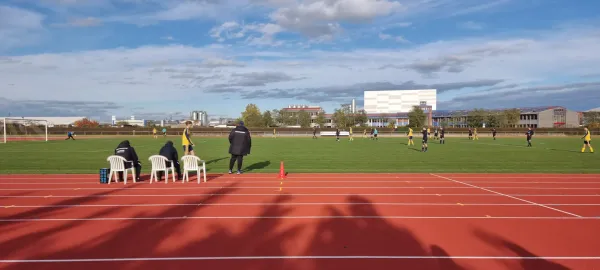 04.11.2023 Allemannia Jessen vs. VfB Gräfenhainichen