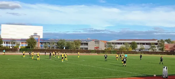 04.11.2023 Allemannia Jessen vs. VfB Gräfenhainichen