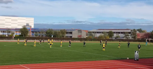 04.11.2023 Allemannia Jessen vs. VfB Gräfenhainichen