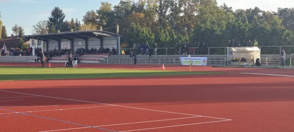 04.11.2023 Allemannia Jessen vs. VfB Gräfenhainichen