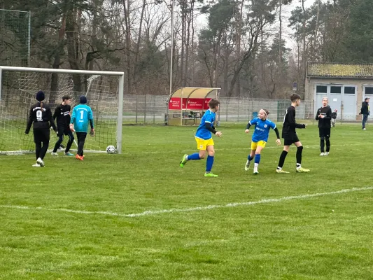 02.03.2024 Allemannia Jessen II vs. VfB Gräfenhainichen