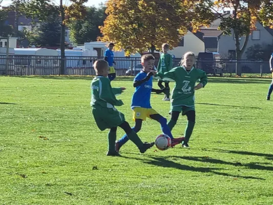 04.11.2023 Piesteritz II vs. VfB Gräfenhainichen