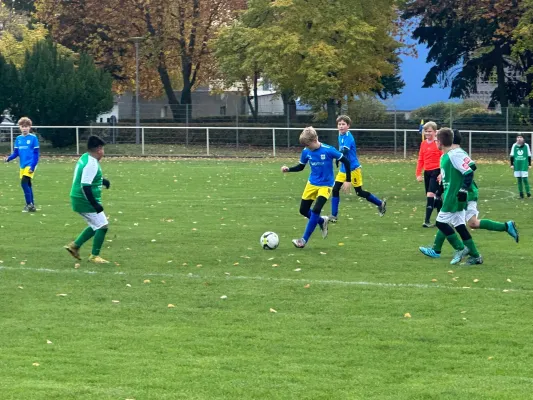 11.11.2023 VfB Gräfenhainichen vs. Annaburg