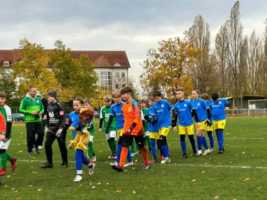 11.11.2023 VfB Gräfenhainichen vs. Annaburg